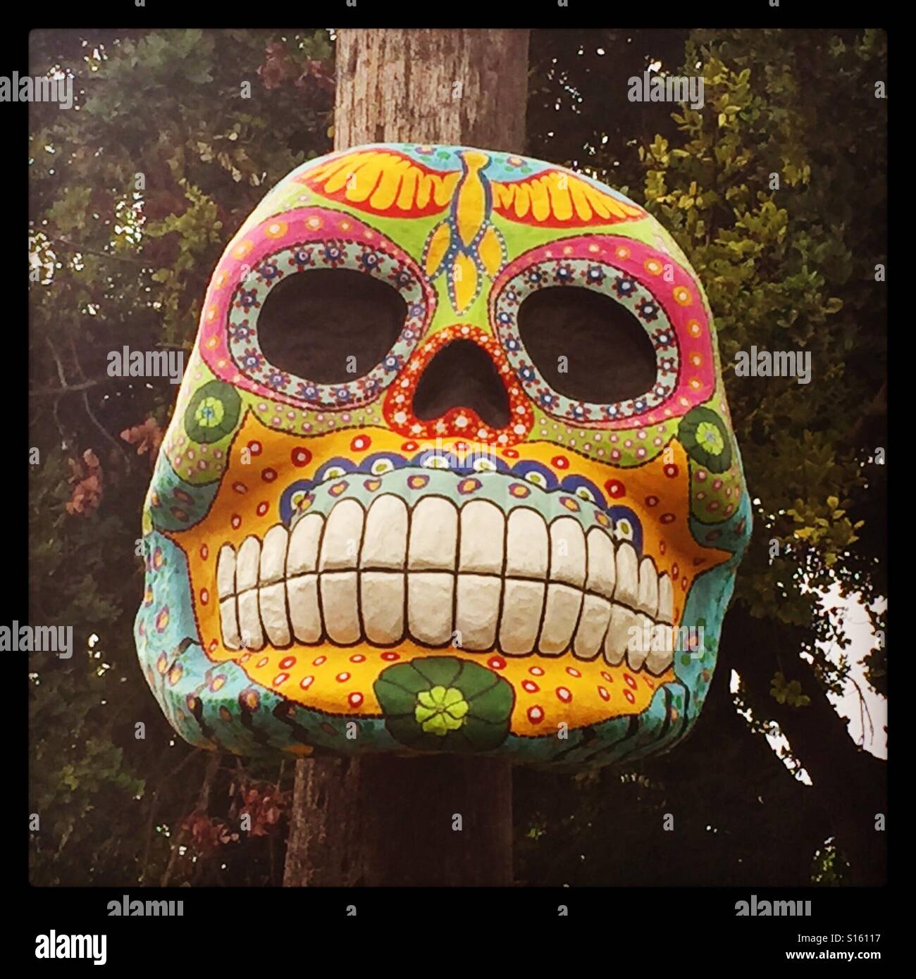 Skull - Dia de Los Muertos, Hollywood Stock Photo
