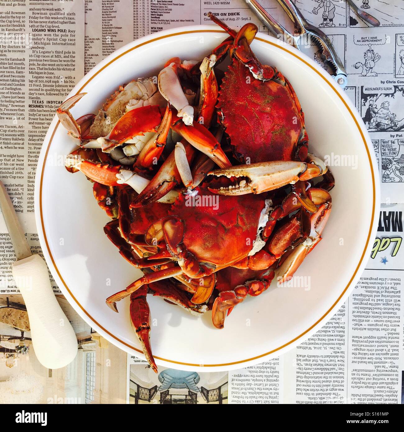 Fresh cooked blue crabs ready for cracking Stock Photo - Alamy