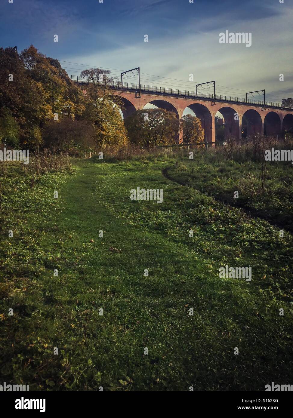 Chester Burn railway viaduct Stock Photo Alamy