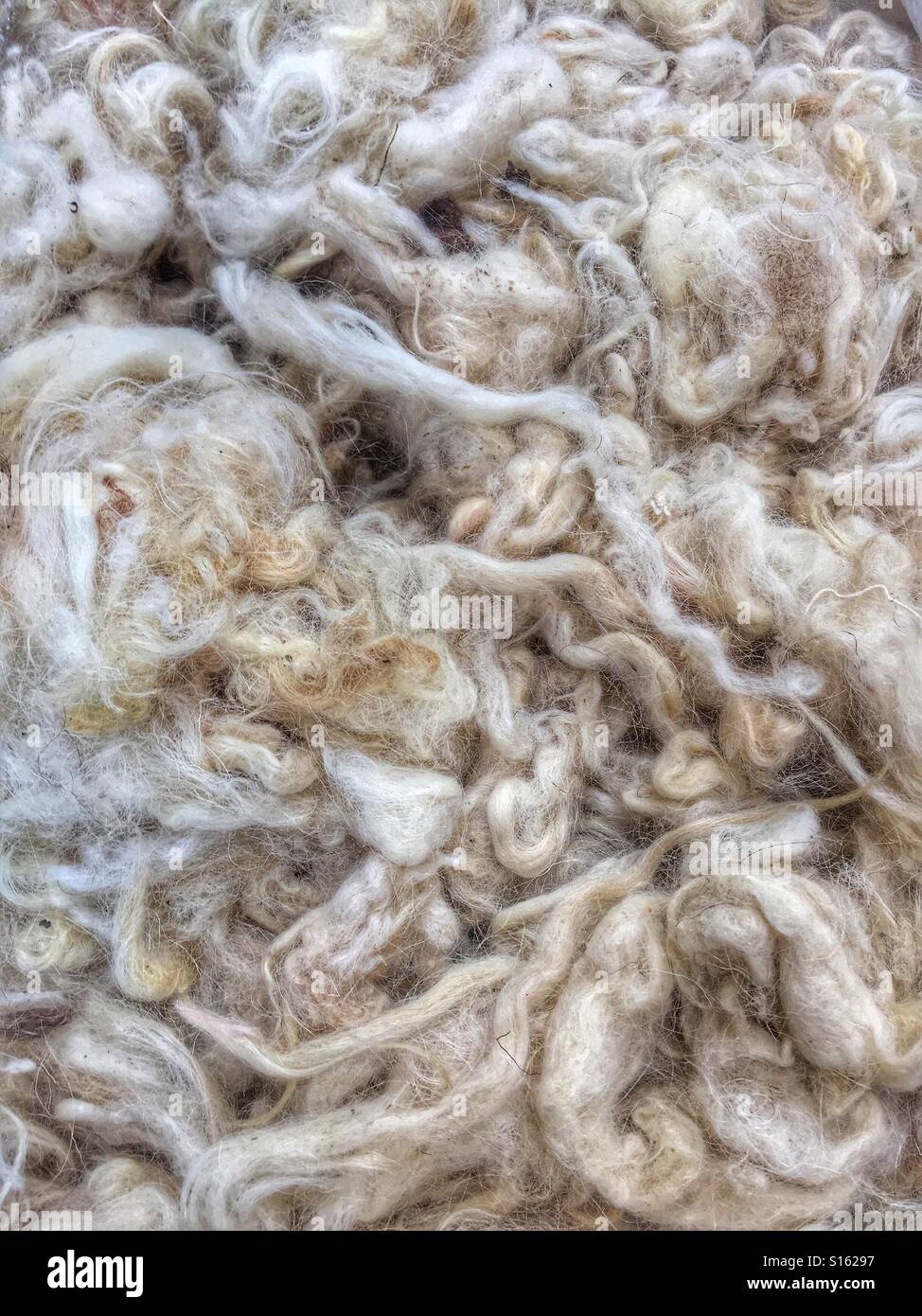 Lamp Fur - Smartphone Captured Stock Image