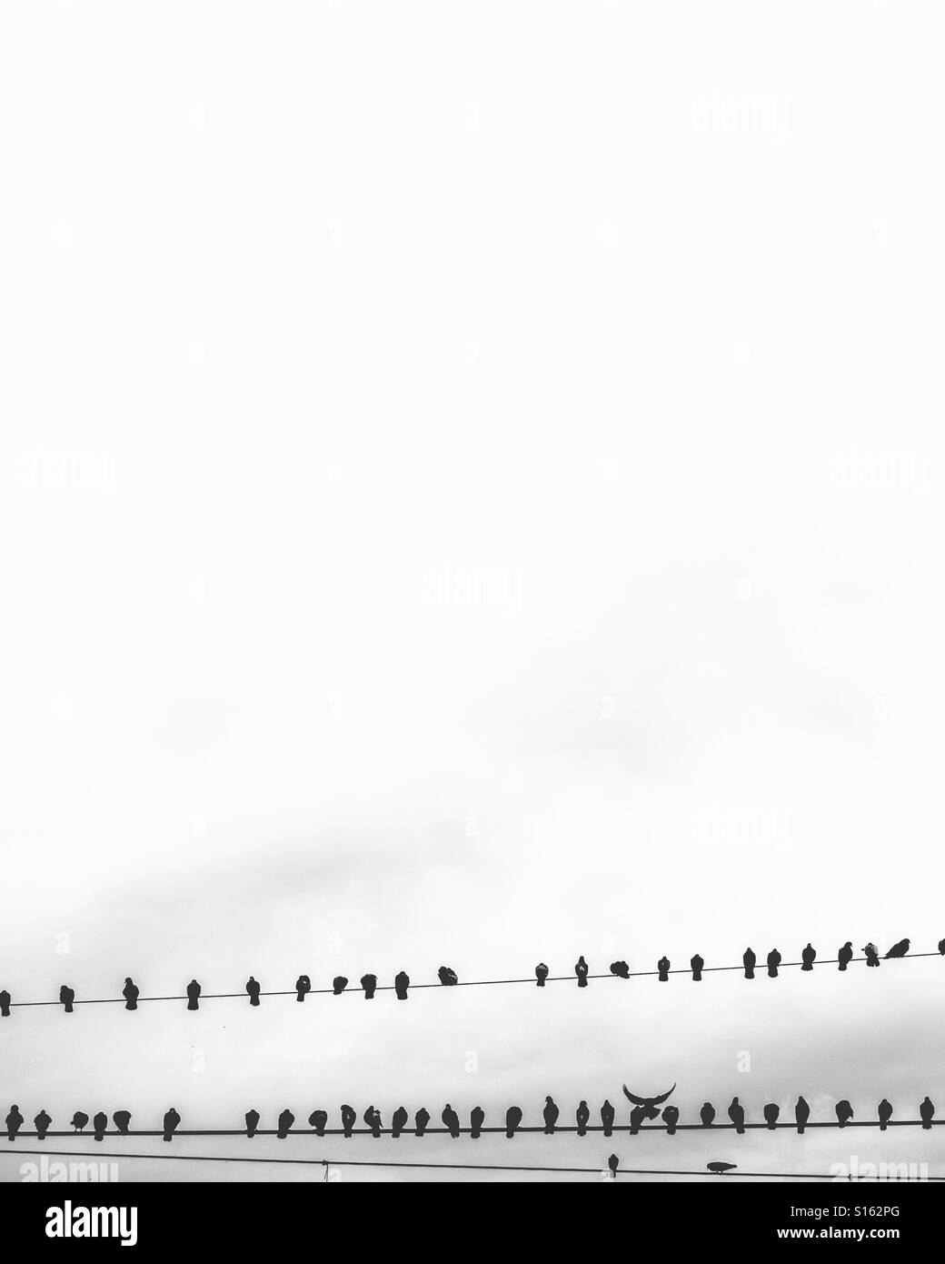 Sits and ponders - Smartphone Captured Stock Image