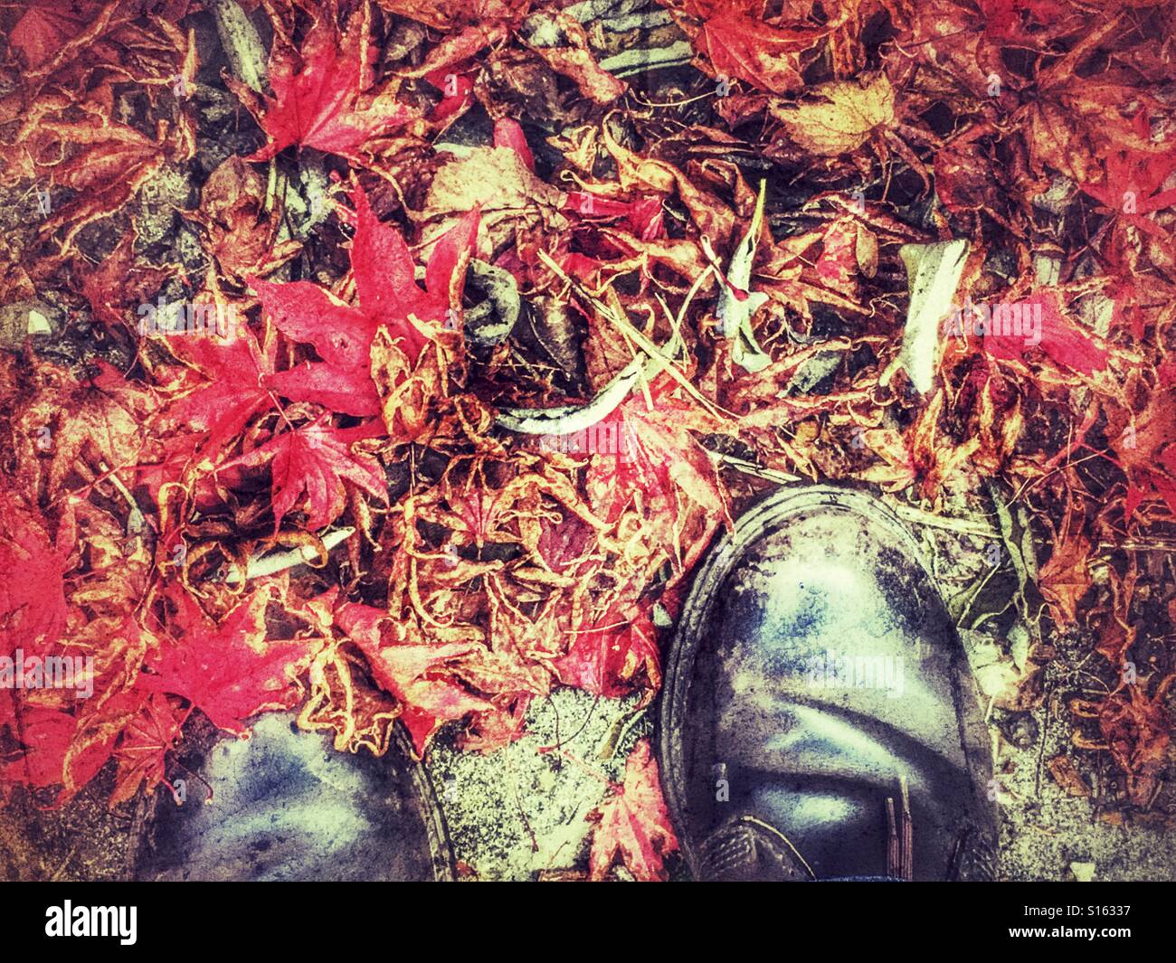 POV brown leather boots on fallen autumn leaves - Smartphone Captured Stock Image