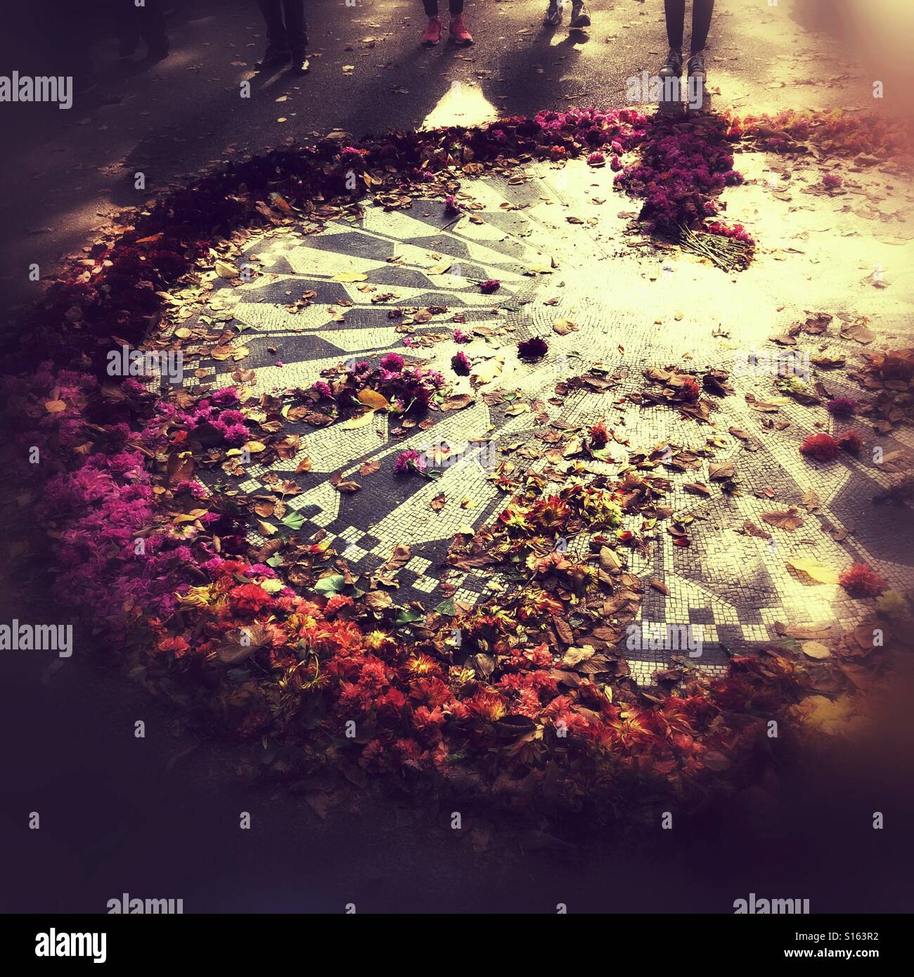 My Image 32