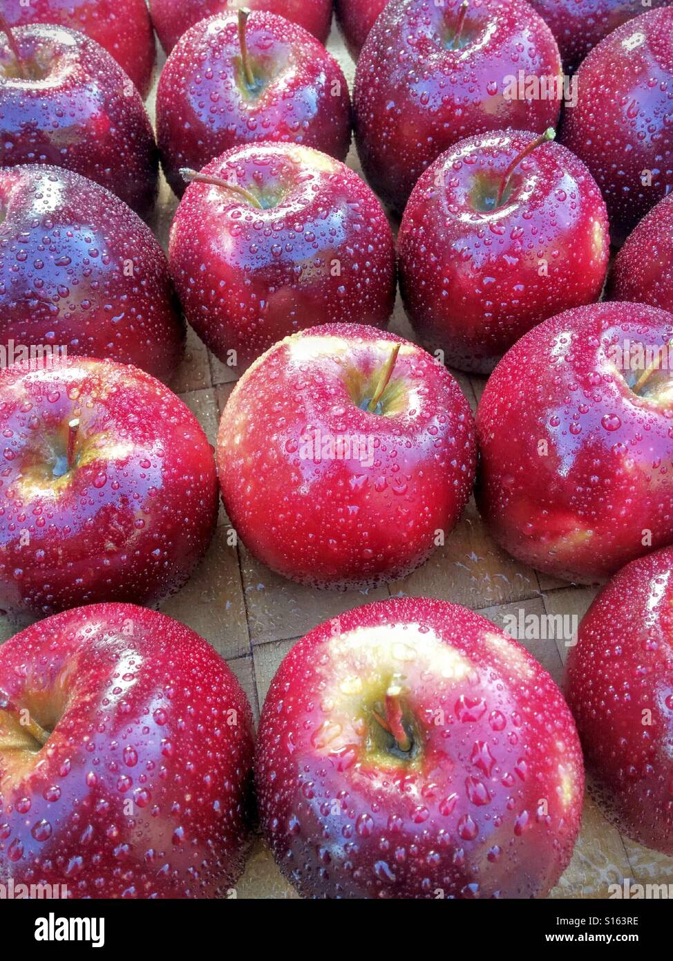 Red apples. Stock Photo