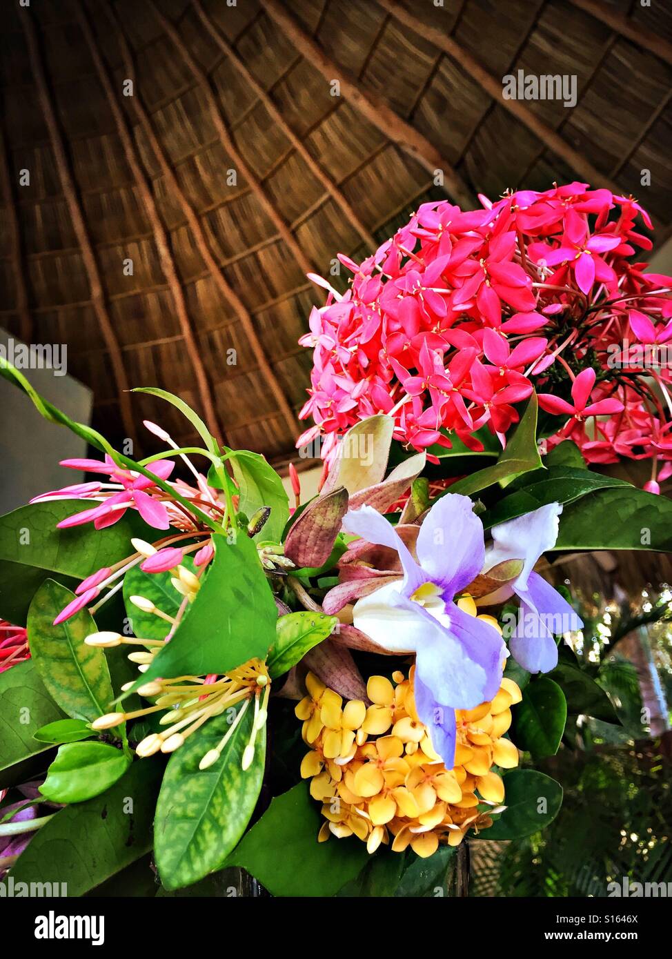 A beautiful bouquet of tropical flowers is visible under a beautiful palapa roof overhead. Stock Photo