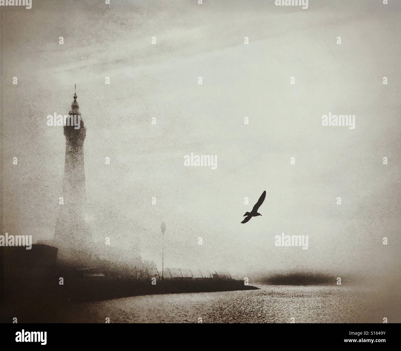 Blackpool Tower partially obscured by a sea mist with a seagull flying in the foreground - Smartphone Captured Stock Image Blackpool Tower partially obscured by a sea mist with a seagull flying in the foreground - Smartphone Captured Stock Image