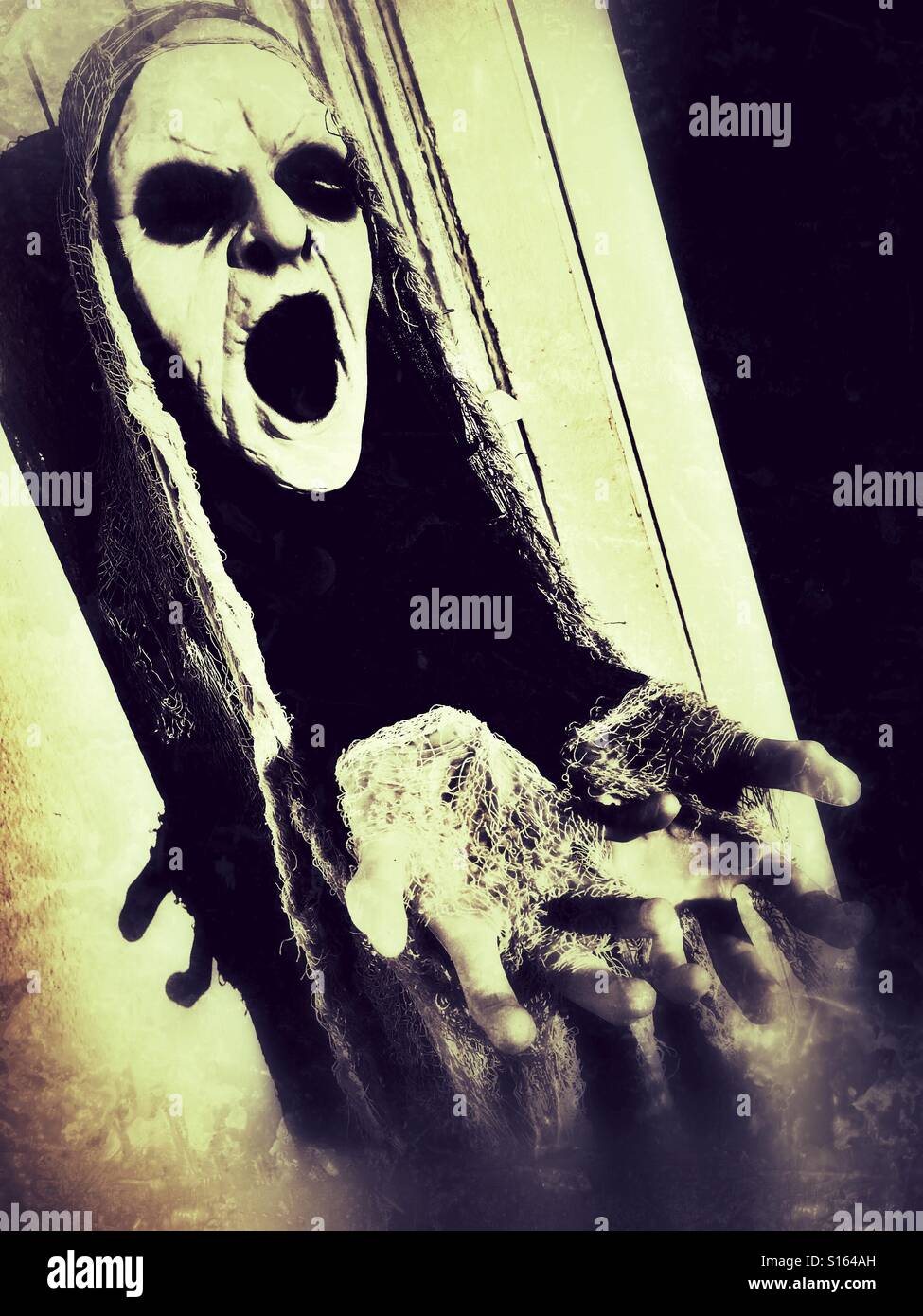 Ghoulish woman - Smartphone Captured Stock Image