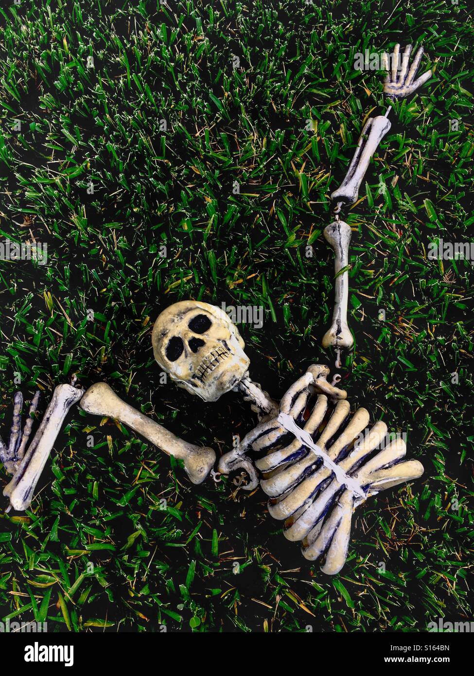Scary Skelton - Smartphone Captured Stock Image