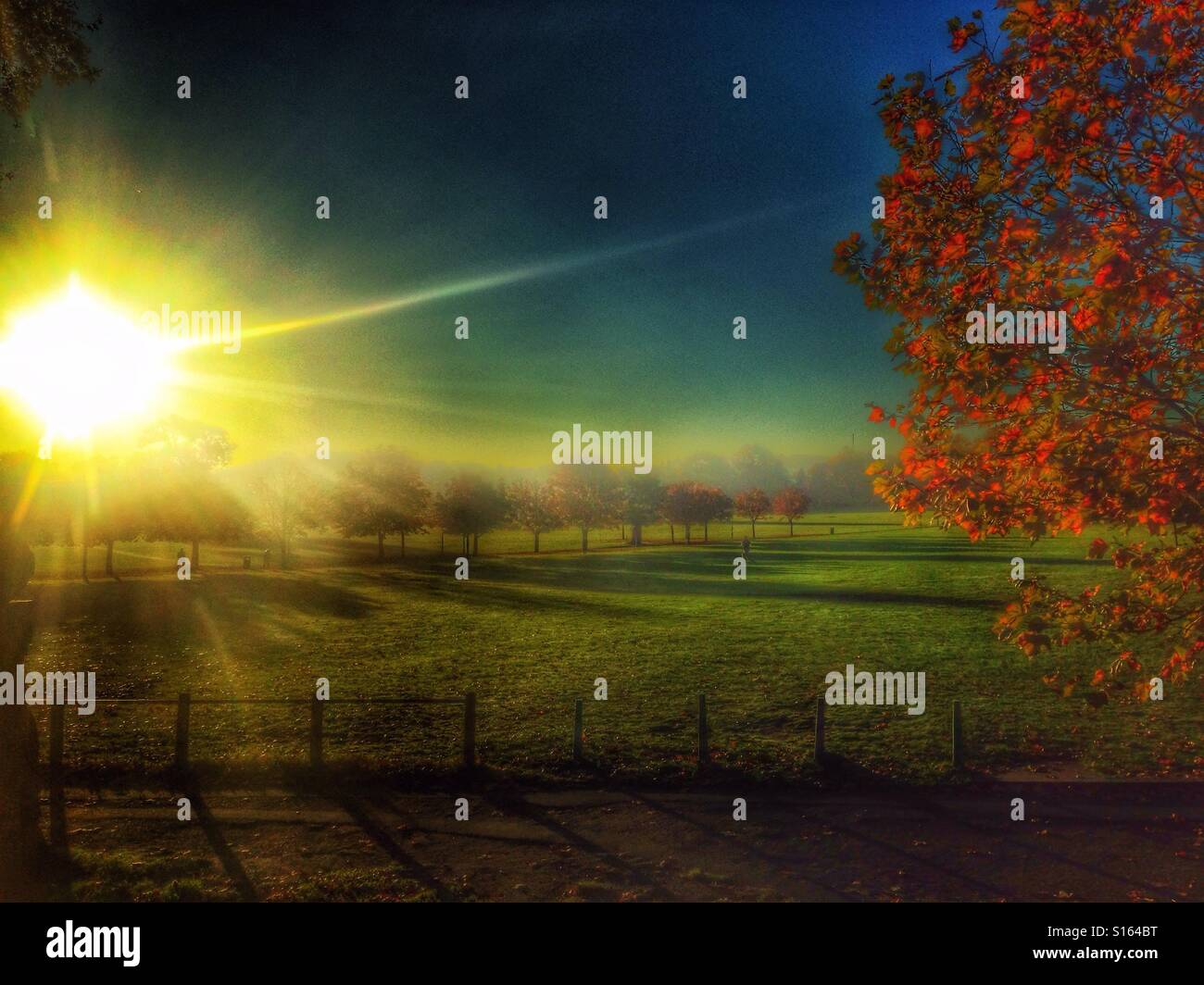 Rye Park morning Stock Photo - Alamy
