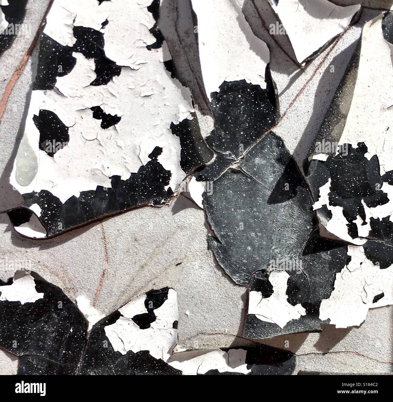 Peeling paint - Smartphone Captured Stock Image