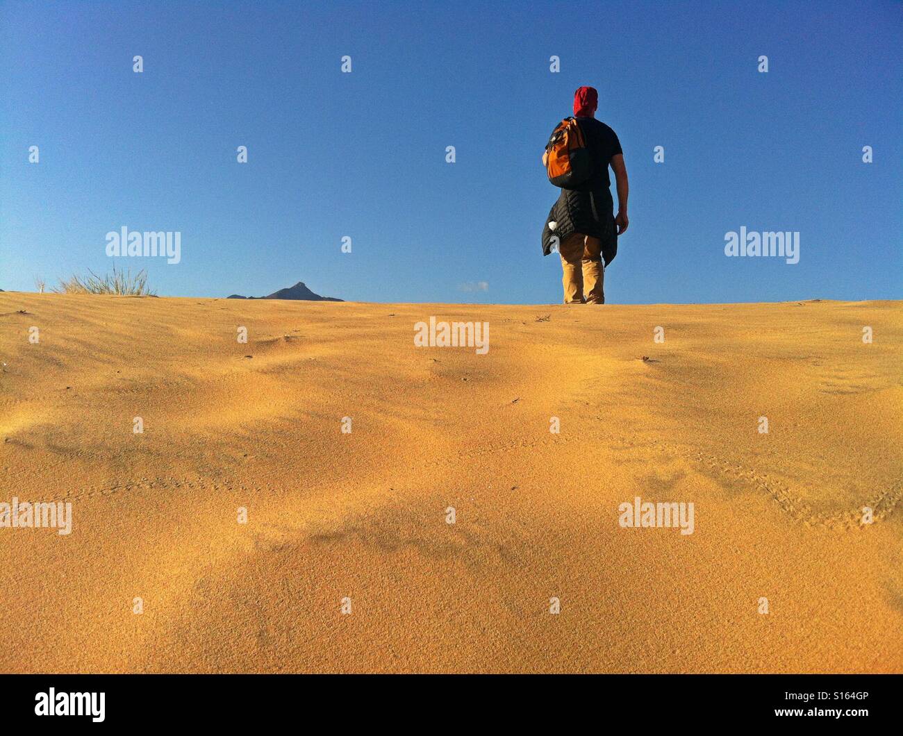 Man taking in view, Kelso dunes, Ca Stock Photo