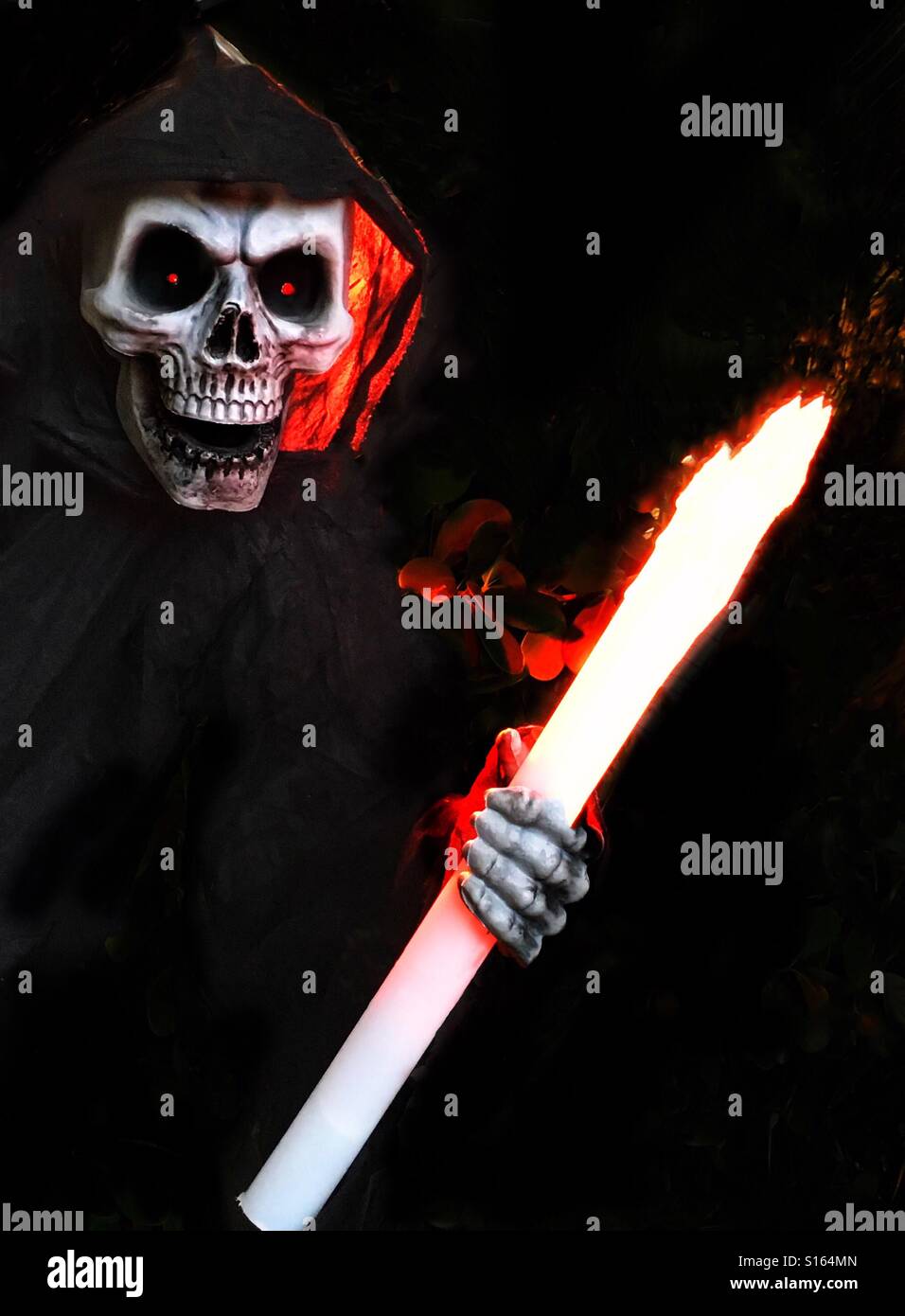 Scary undead skeleton - Smartphone Captured Stock Image