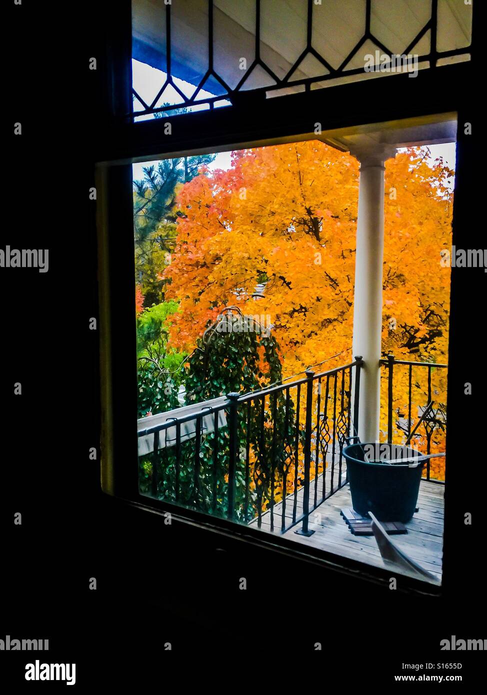 Fall colors through my window - Smartphone Captured Stock Image
