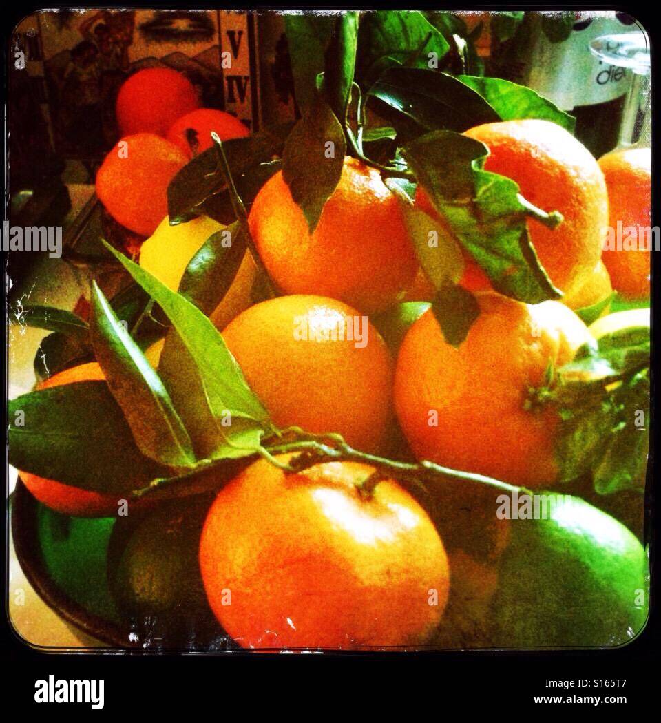 Satsuma Stock Photo Alamy