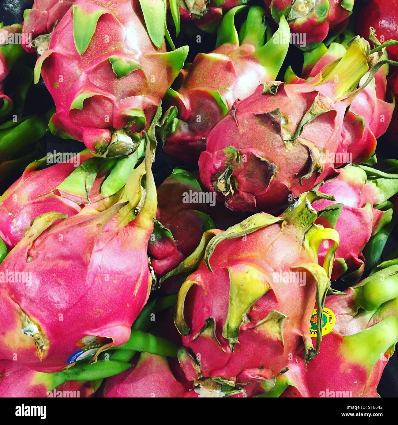 Dragon fruits by K.R. Stock Photo