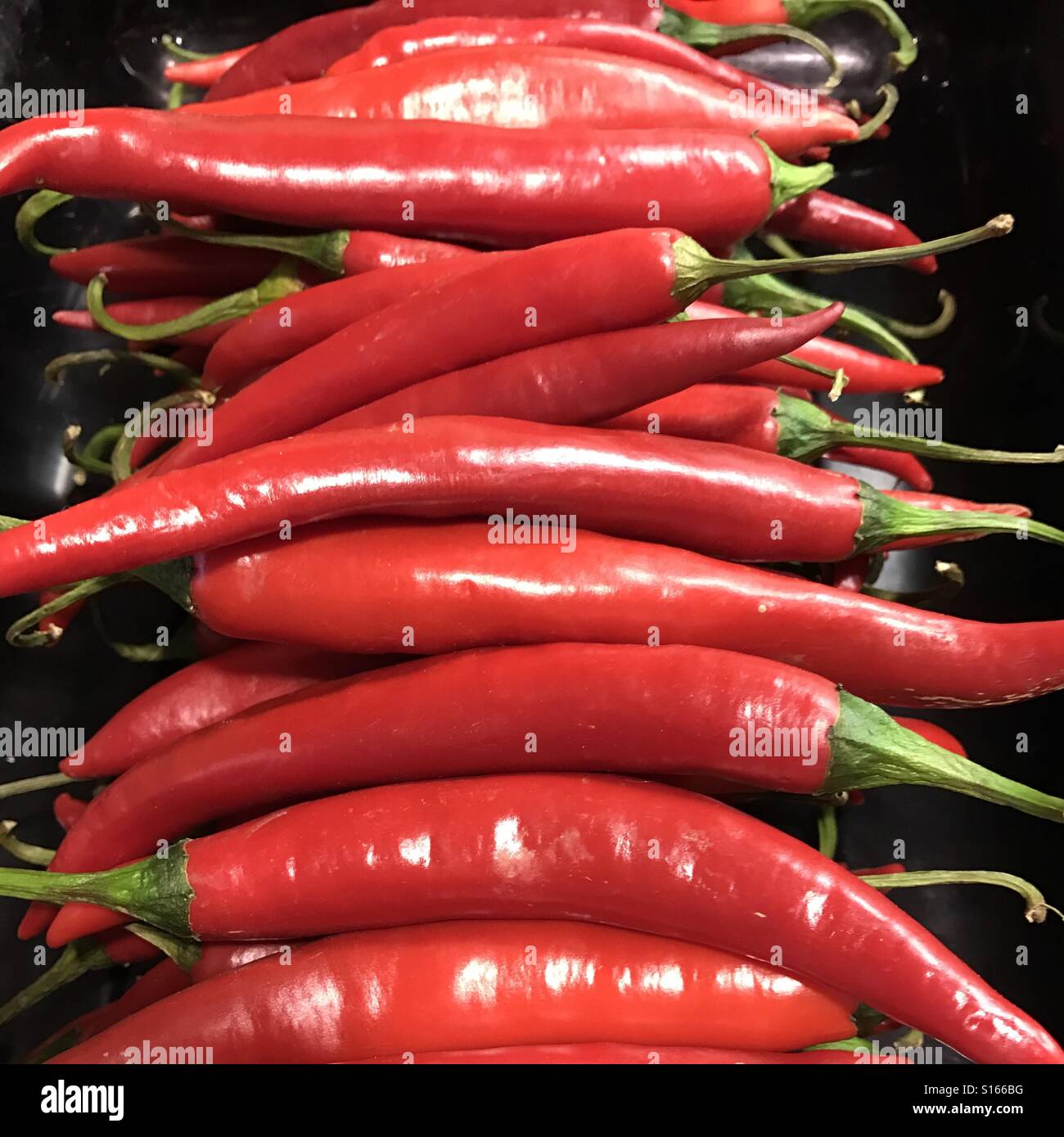 Red hot chillis Stock Photo
