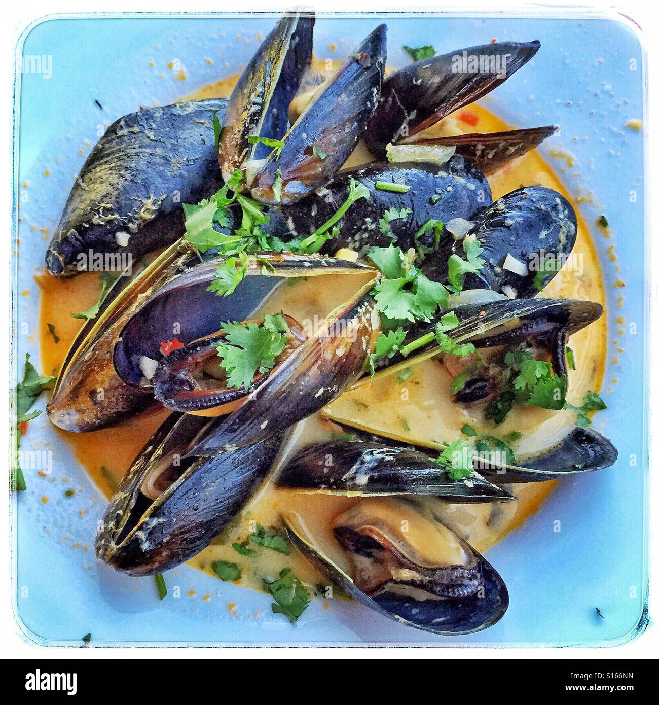 Fresh mussels cooked in a delicious Thai curry sauce Stock Photo Alamy