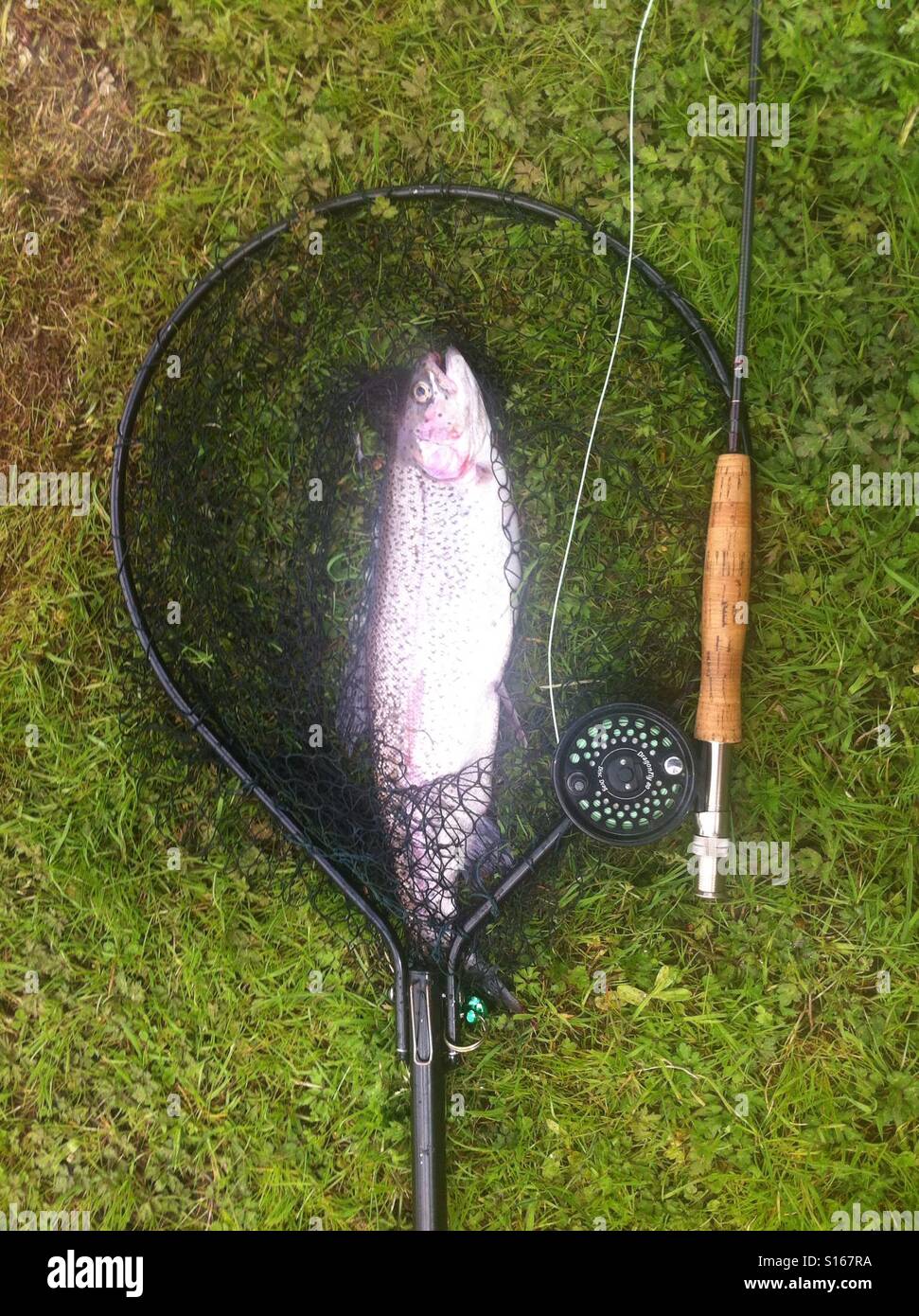 A fly rod, fly reel, trout fishing net, and box of artificial