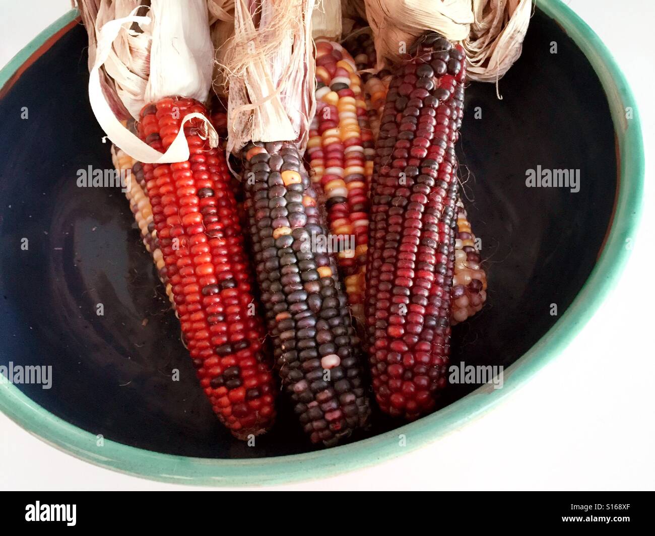 Maize or Indian corn in a decorative autumn display - Smartphone Captured Stock Image