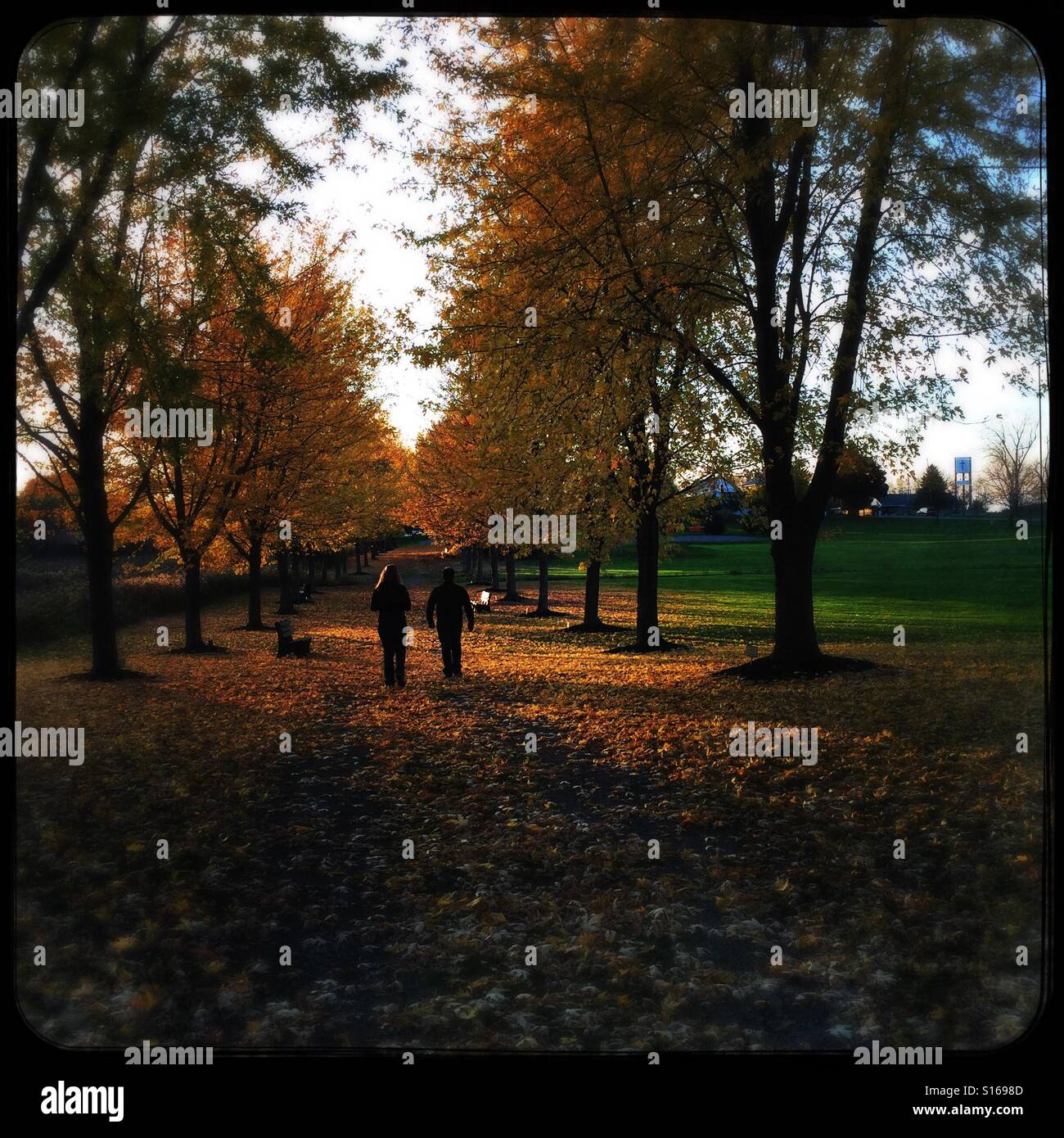 Autumn stroll - Smartphone Captured Stock Image