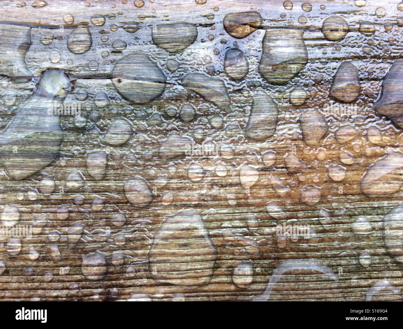 Surface tension of the water forming bubbles on weathered board Stock