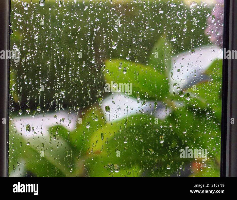 Rainy Day,rain,daytime, day,window,pane,window pane,wet,weather,green,droplet,rain droplet,running, Stock Photo