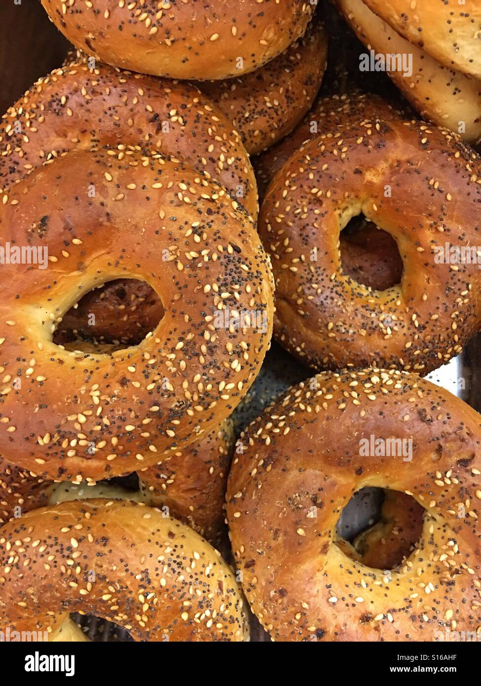 Top down shot of onion bagels - Smartphone Captured Stock Image