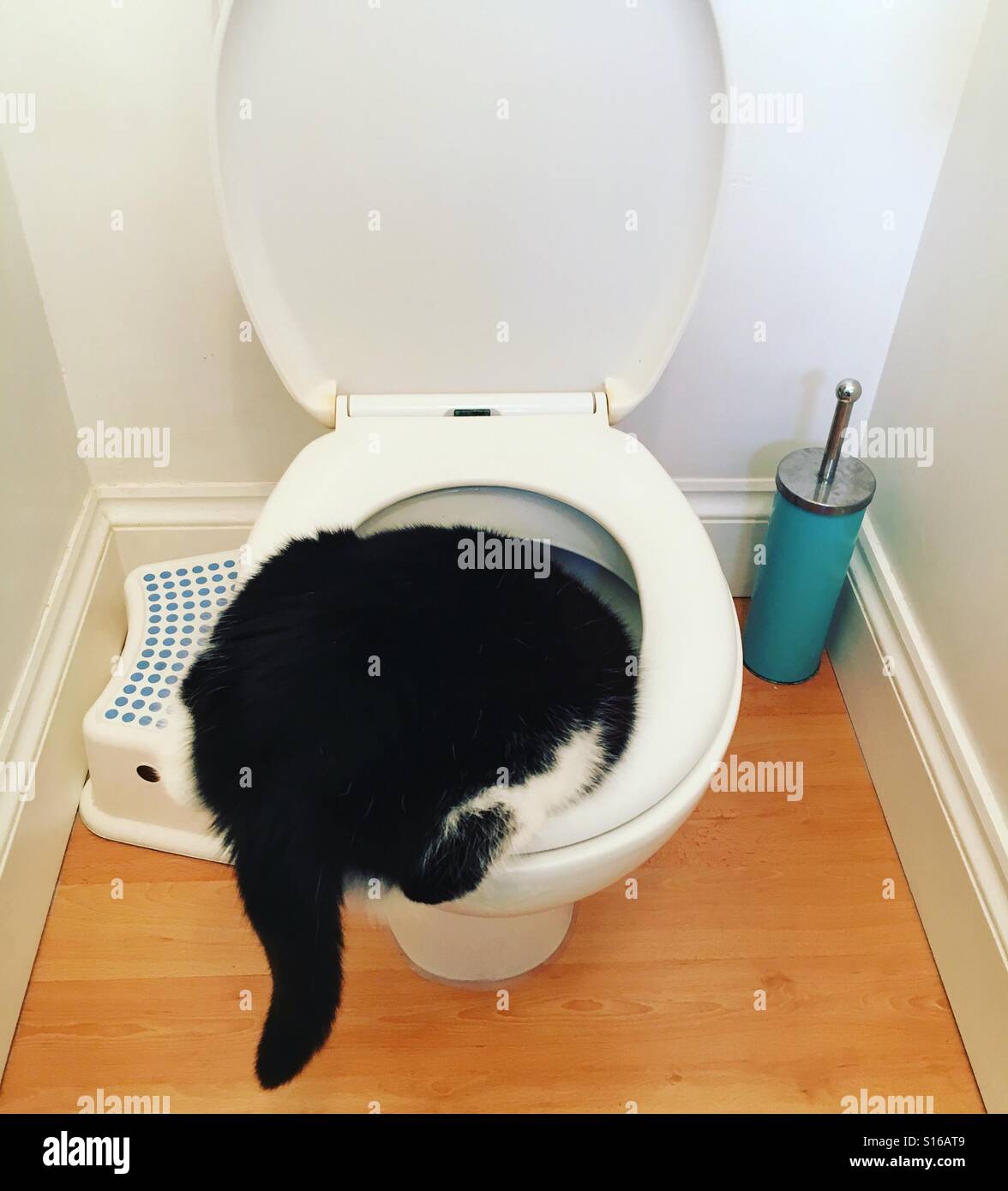 Bad Toilet High Resolution Stock Photography and Images - Alamy