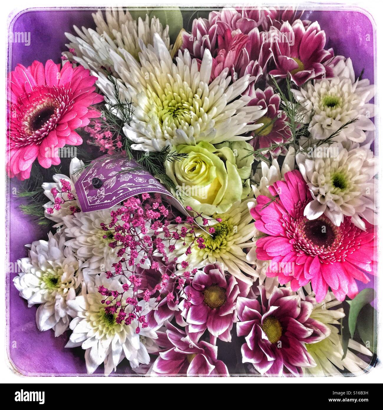 Mixed bunch of flowers Stock Photo Alamy