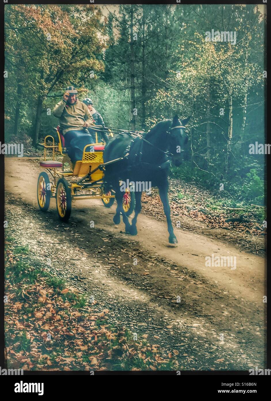 Horse drawn carriage road uk hi-res stock photography and images - Alamy
