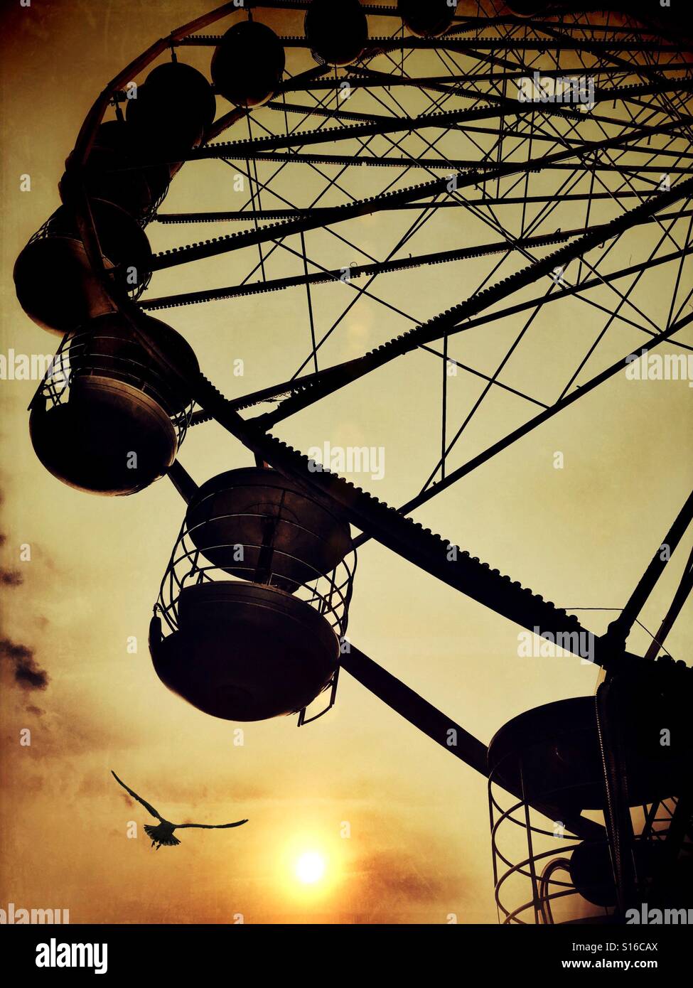 Giant Ferris wheel on Blackpool Central Pier in silhouette against the sun with a seagull flying past - Smartphone Captured Stock Image
