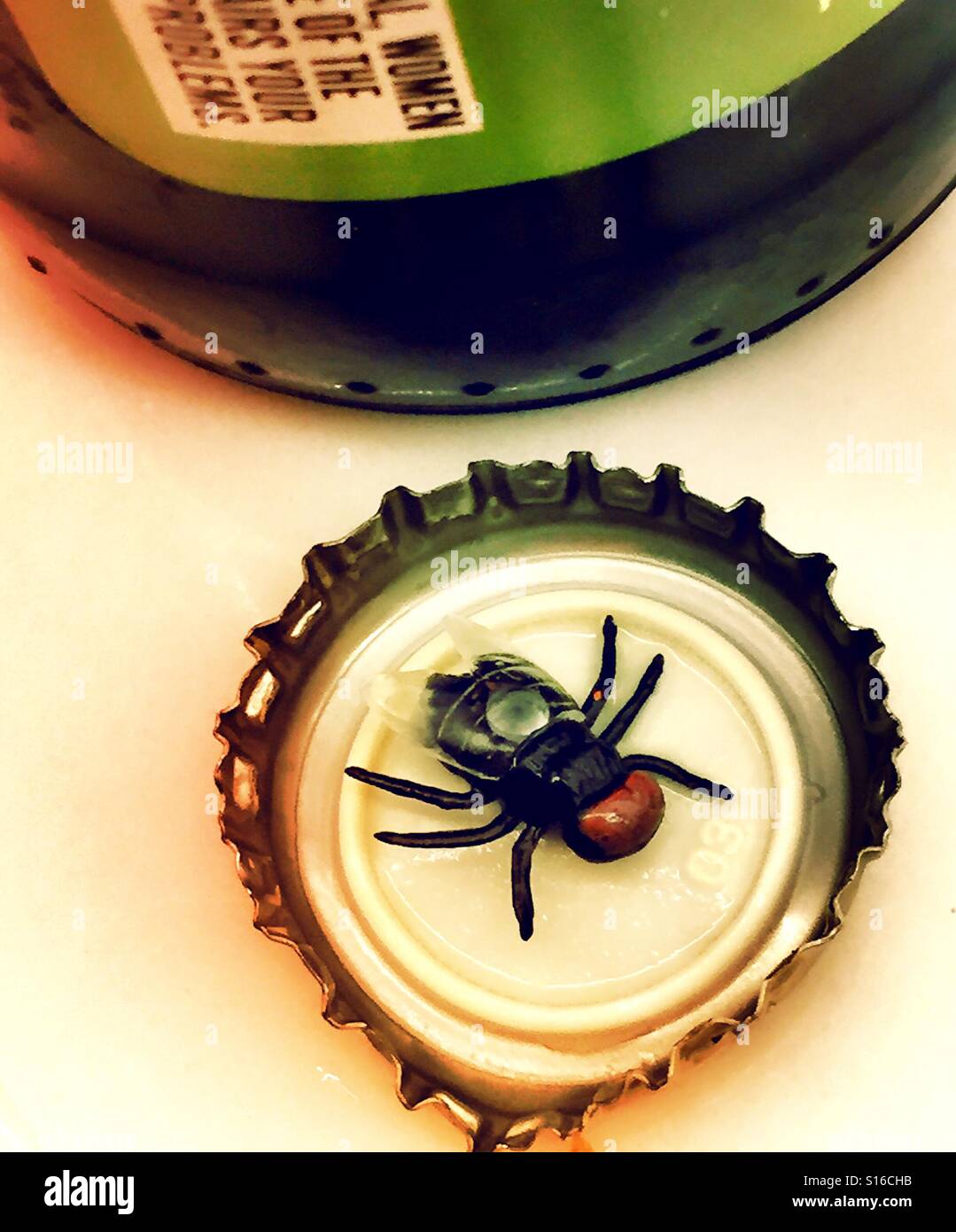 Housefly in beer bottle cap close up in detail, USA - Smartphone Captured Stock Image