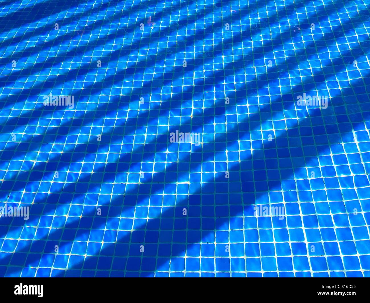 Shadows in a swimming pool - Smartphone Captured Stock Image
