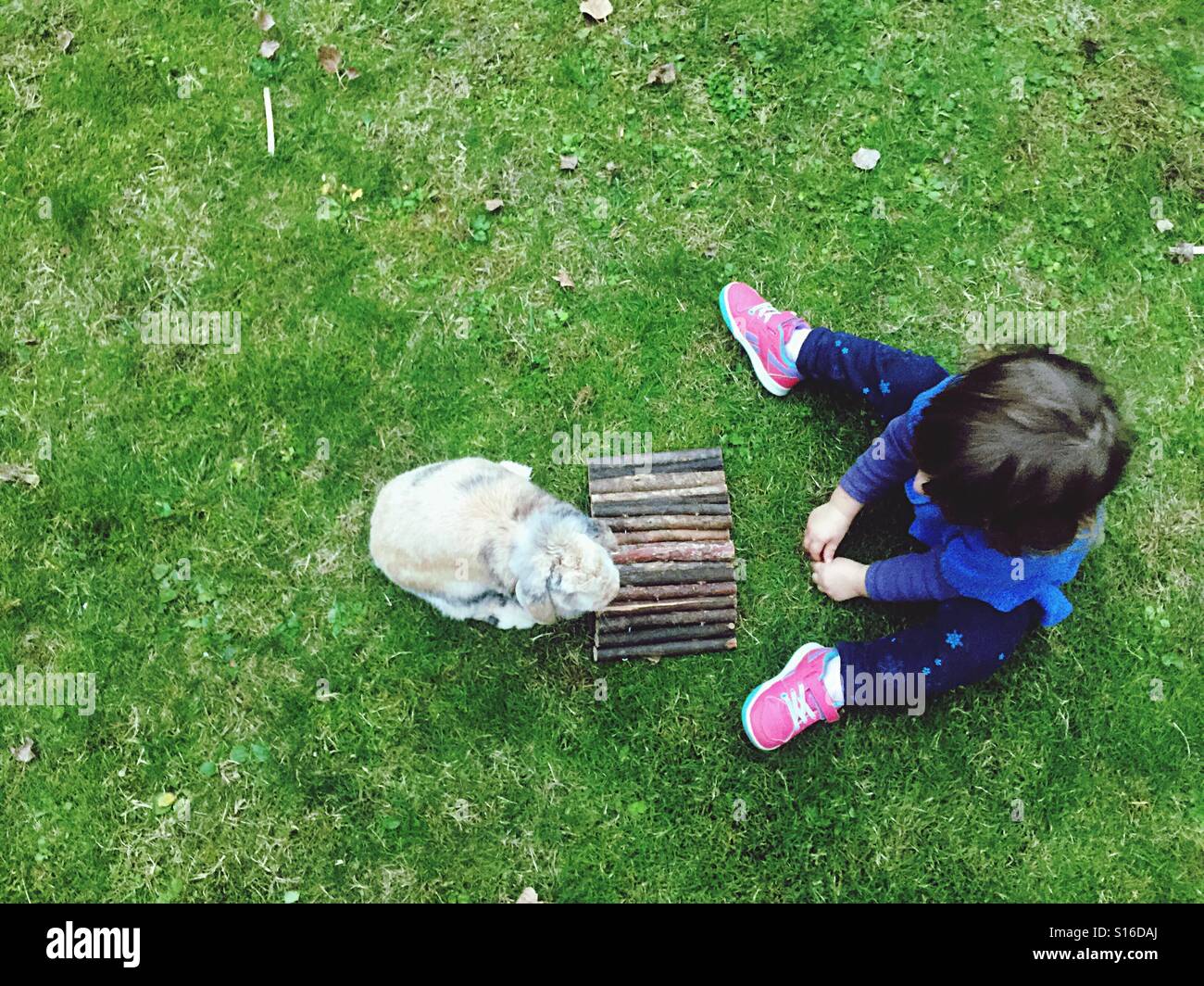 Toddler and rabbit sitting on the grass - Smartphone Captured Stock Image