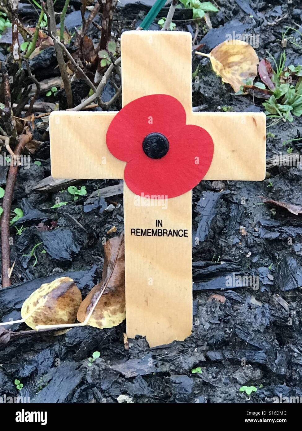 Remembrance Day... to remember all who fought in World War One and World War Two 11/11. All who fell and all who came home. A red poppy on a wooden cross in a flower bed. God bless and thank you Stock Photo