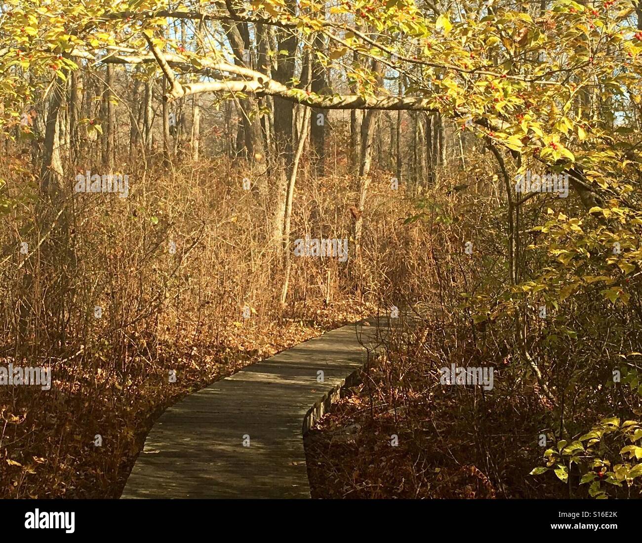 Quiet trail hi-res stock photography and images - Alamy