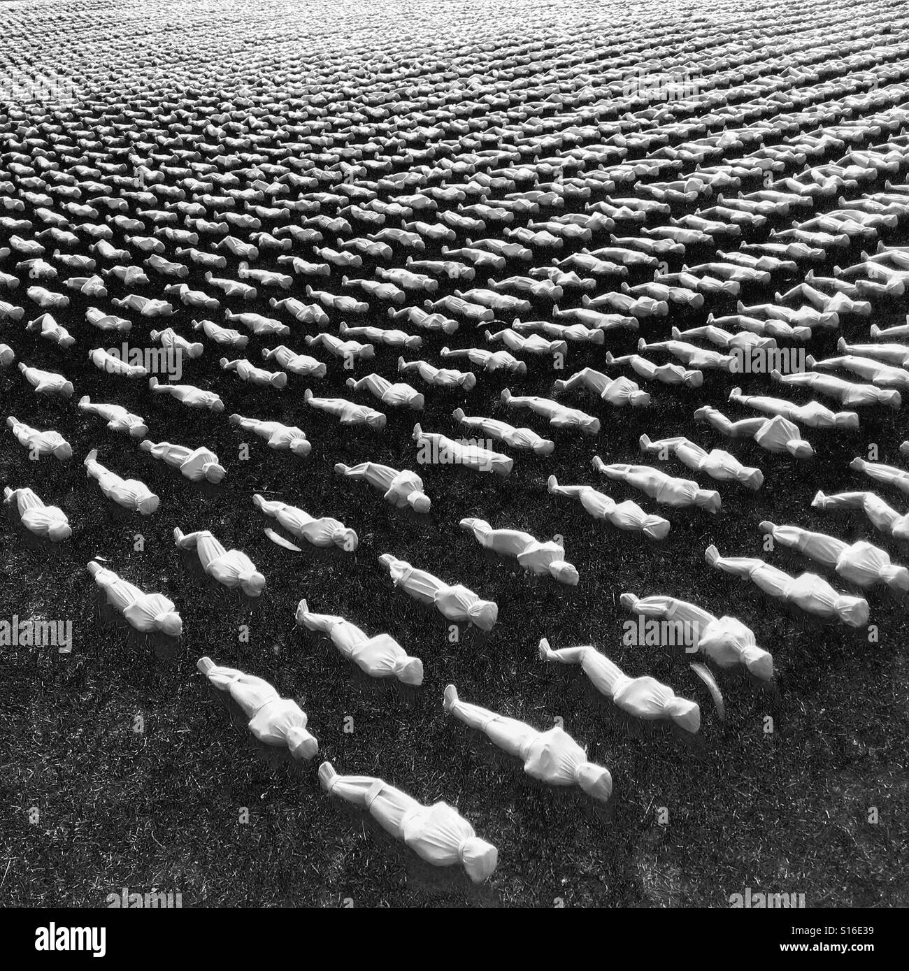 Shadows of the Somme - Smartphone Captured Stock Image