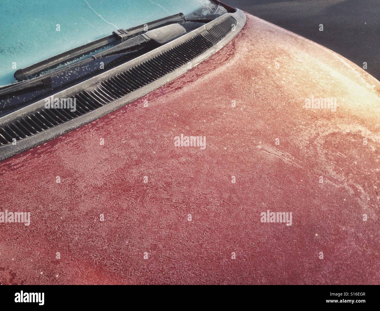 Hoar frost on the hood of a red car with the morning sun reflecting on the surface - Smartphone Captured Stock Image