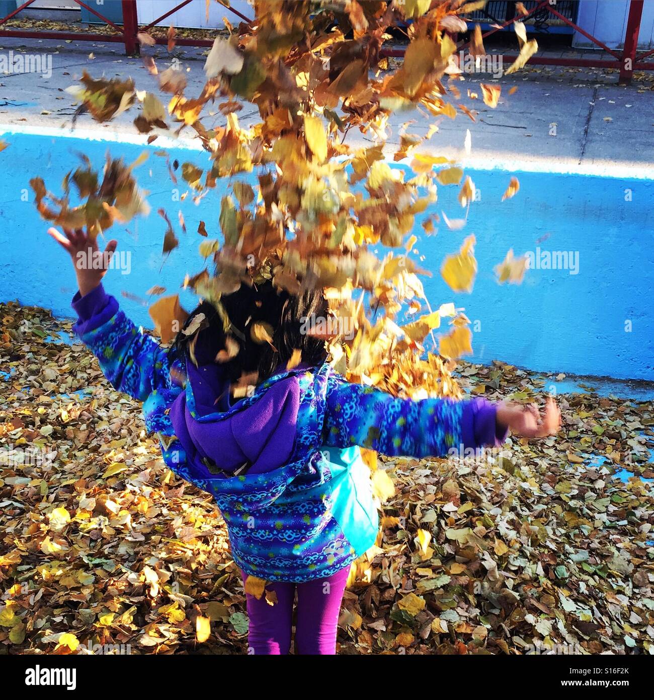 Falling leaves by K.R. Stock Photo