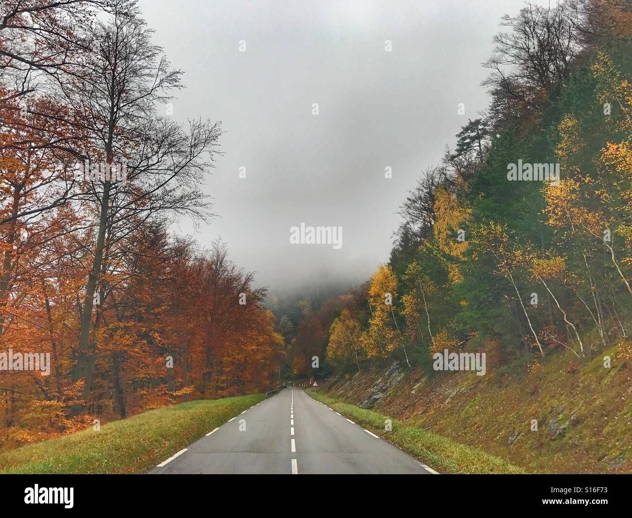Autumn on the road - Smartphone Captured Stock Image