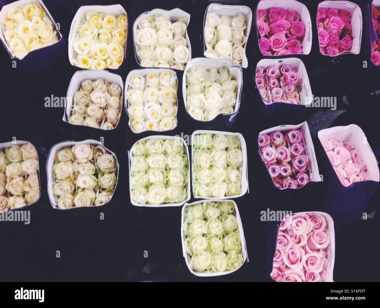 Roses at the flower market Stock Photo Alamy