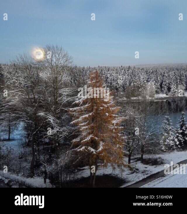 The 'super' MOON! 14.11.2016. - Smartphone Captured Stock Image