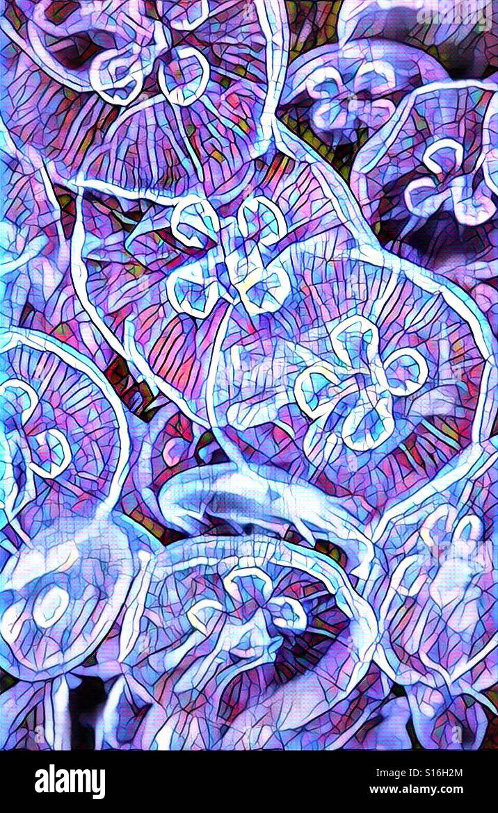 An abstract digital artwork of blue and violet colored jellyfish. Stock Photo