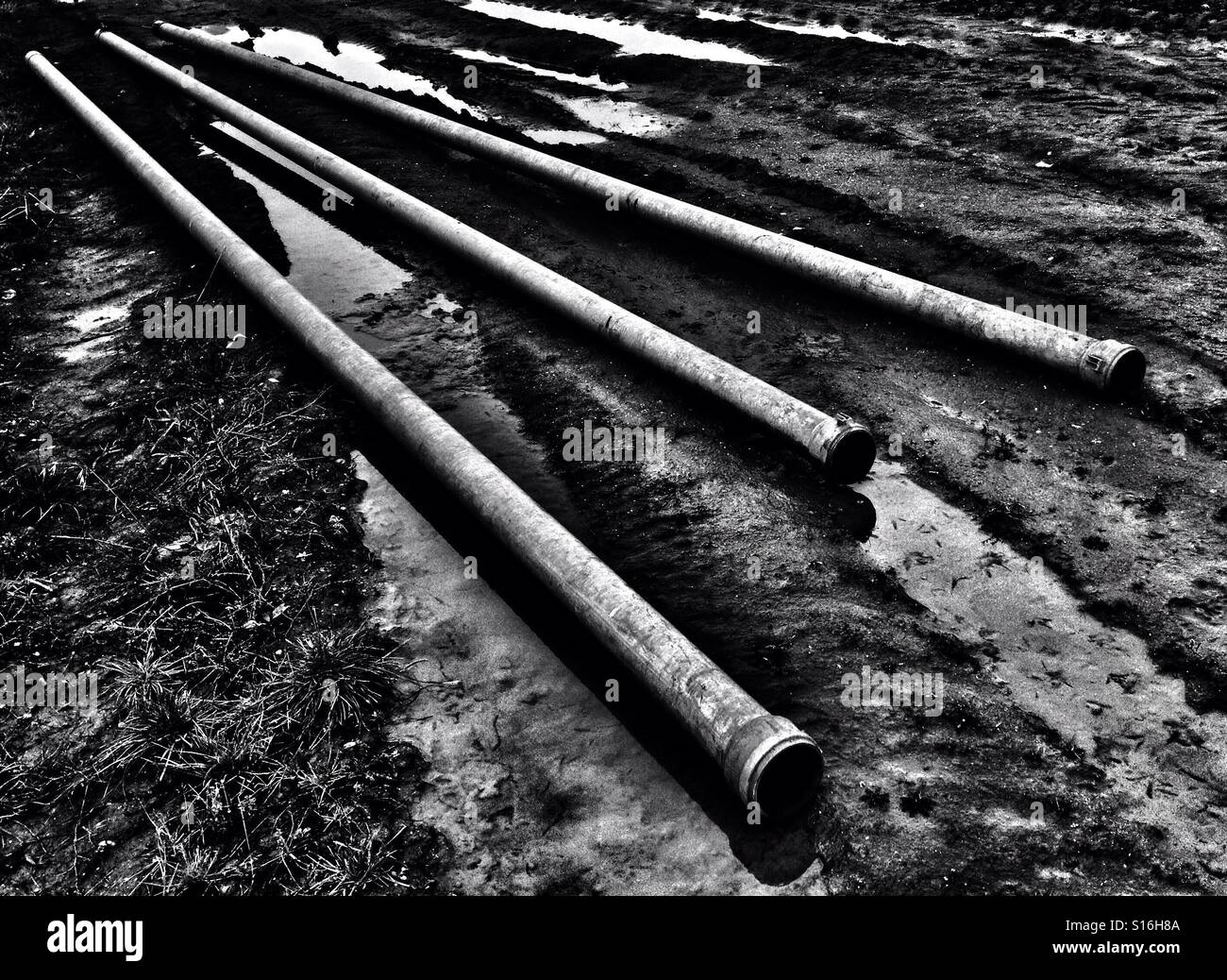 Irrigation pipes Alderton Suffolk UK Stock Photo Alamy