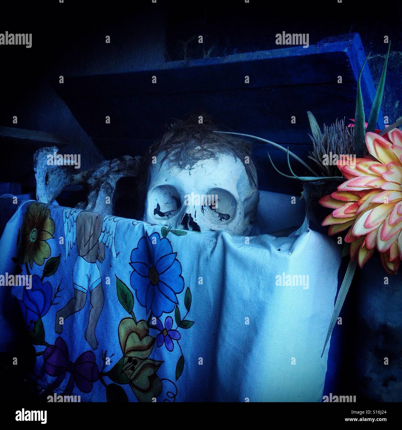 A skull in a cemetery in Mayan village of Pomuch in Campeche. Pomuch is the only one in Mexico were had been preserved the tradition of cleaning the bones of their dead family members. - Smartphone Captured Stock Image