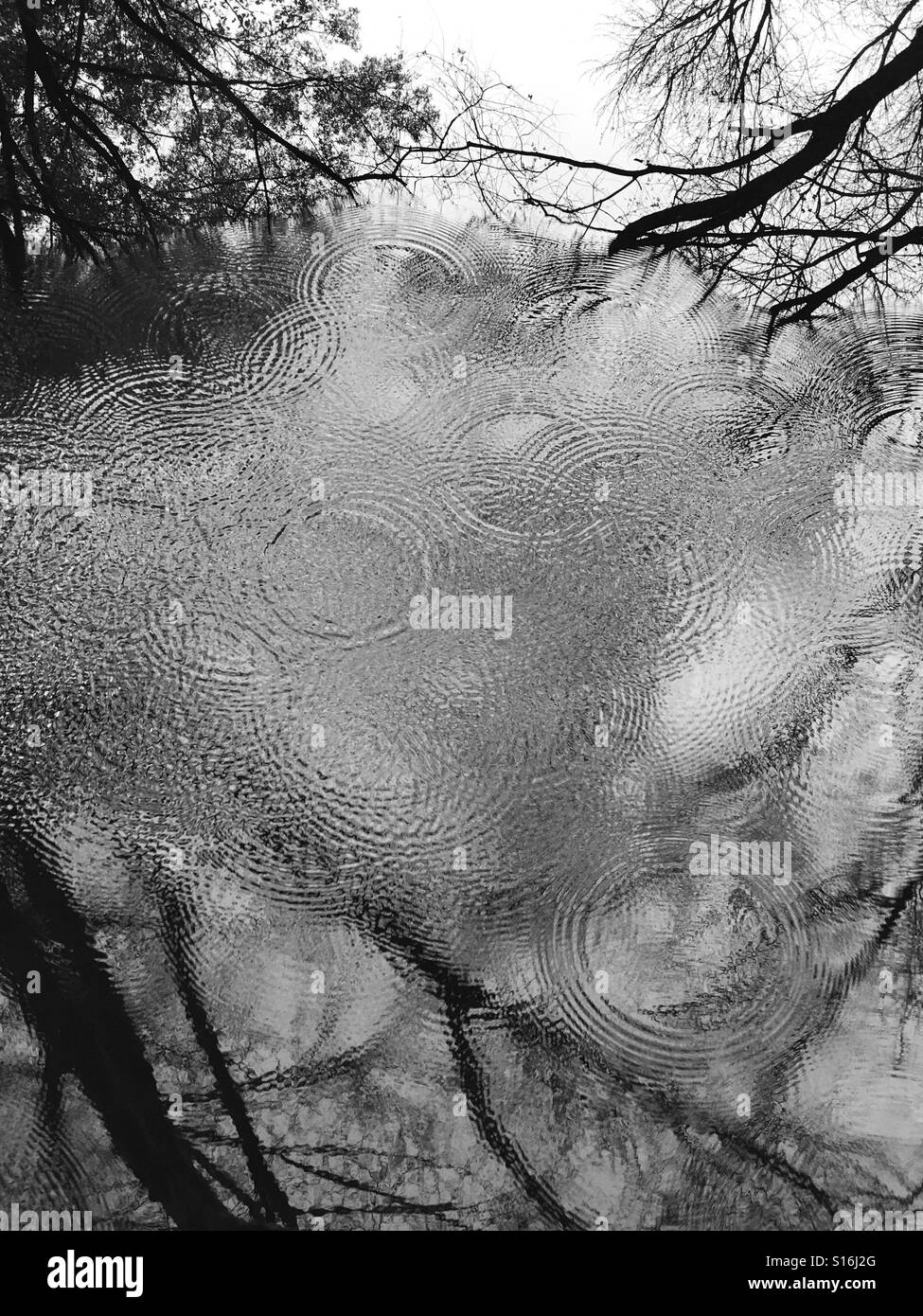 Ripples in the stream. New Jersey, USA. - Smartphone Captured Stock Image