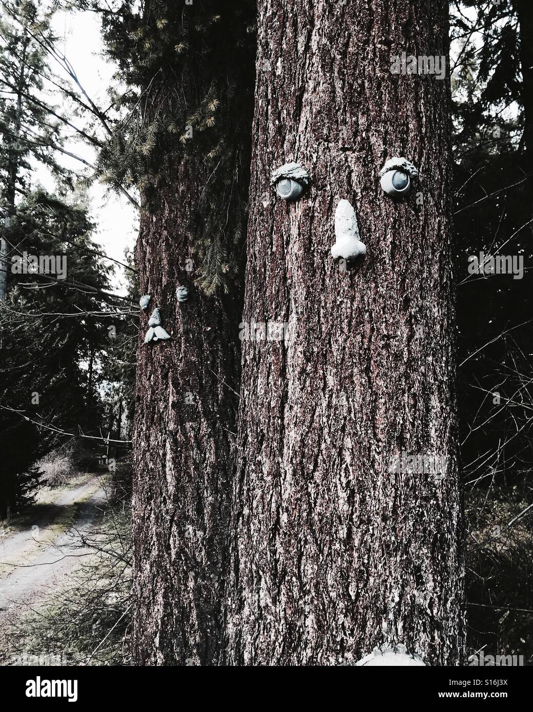 Even the trees are alive Stock Photo Alamy