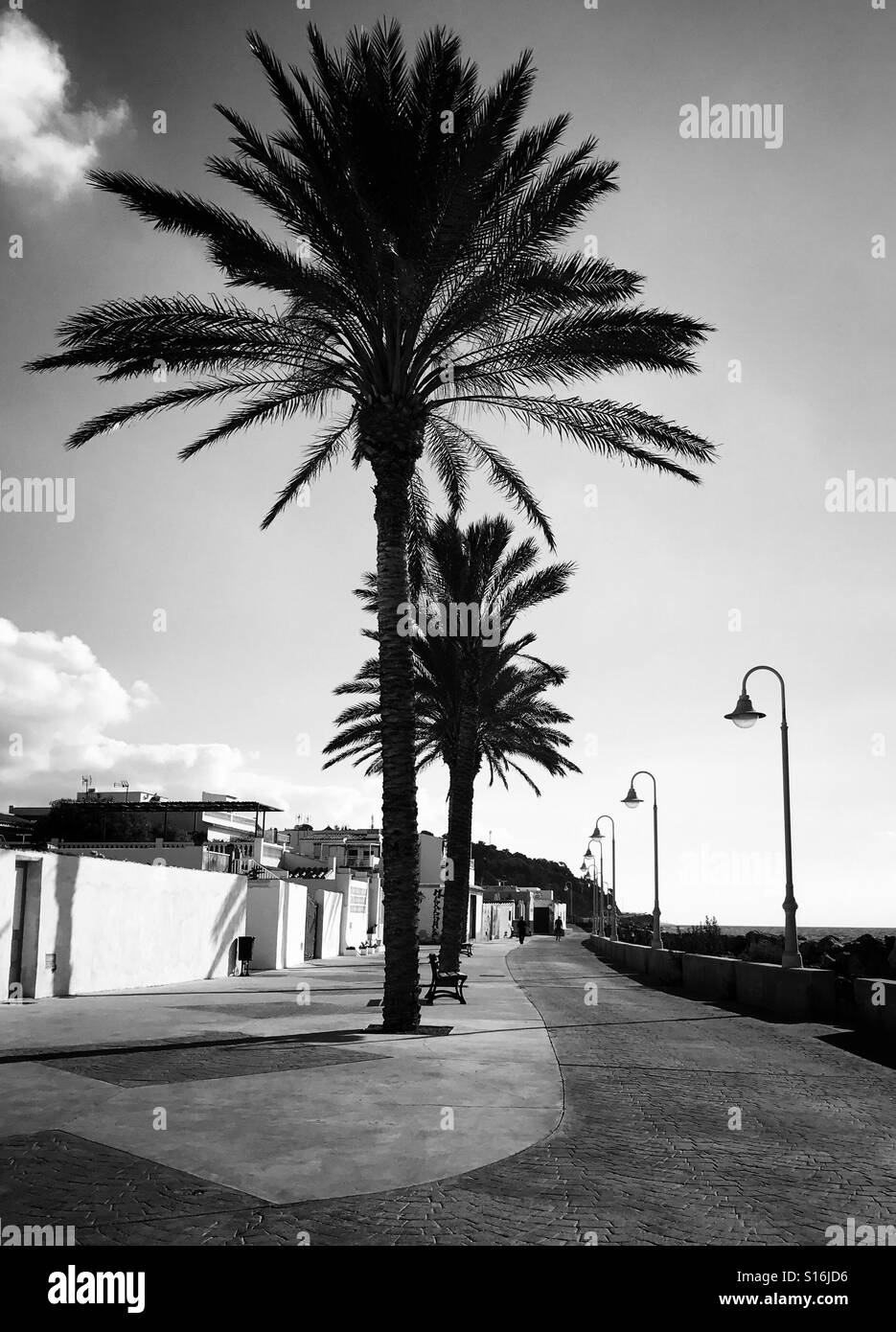 Palm trees by the promenade, Algarrobo Costa, Spain Stock Photo