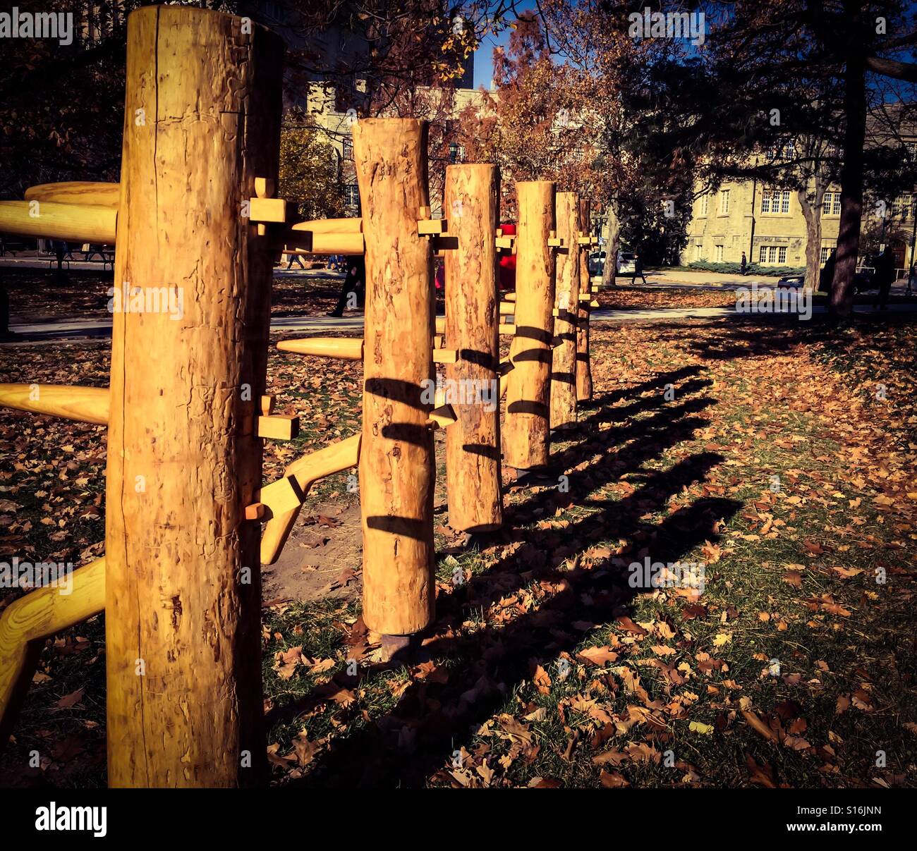 Tree sculptures made from Ash trees threatened by the Emerald ash borer, Ontario, Canada. Dead or dying trees repurposed in the service of art. - Smartphone Captured Stock Image