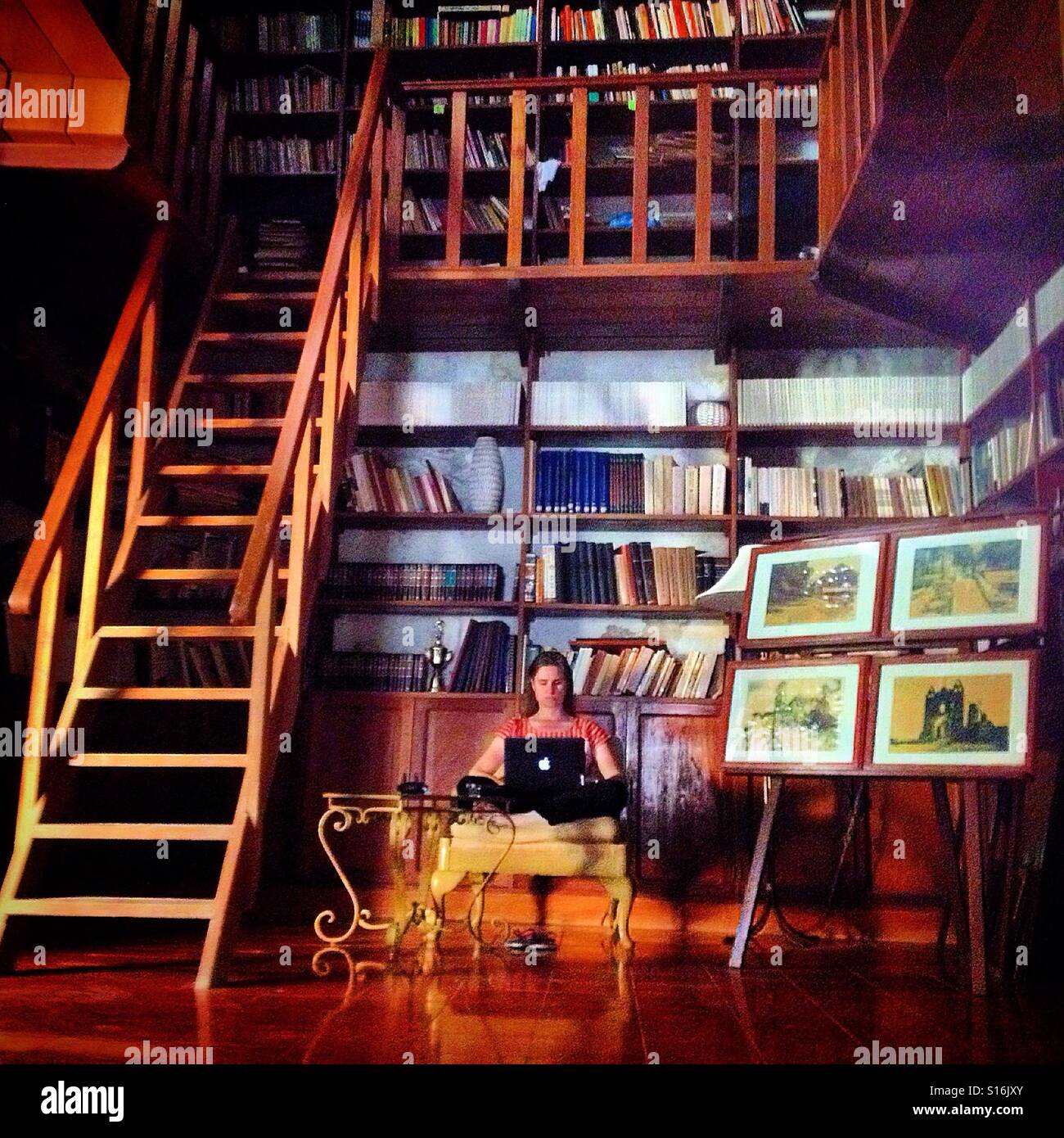 A woman works at her computer in the library of Hacienda Blanca Flor in Hecelchakan, Campeche, Mexico - Smartphone Captured Stock Image